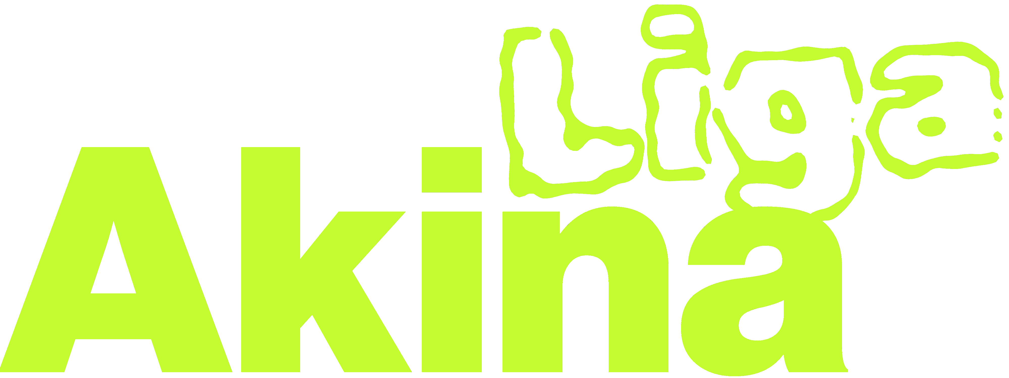 Liga AKINA