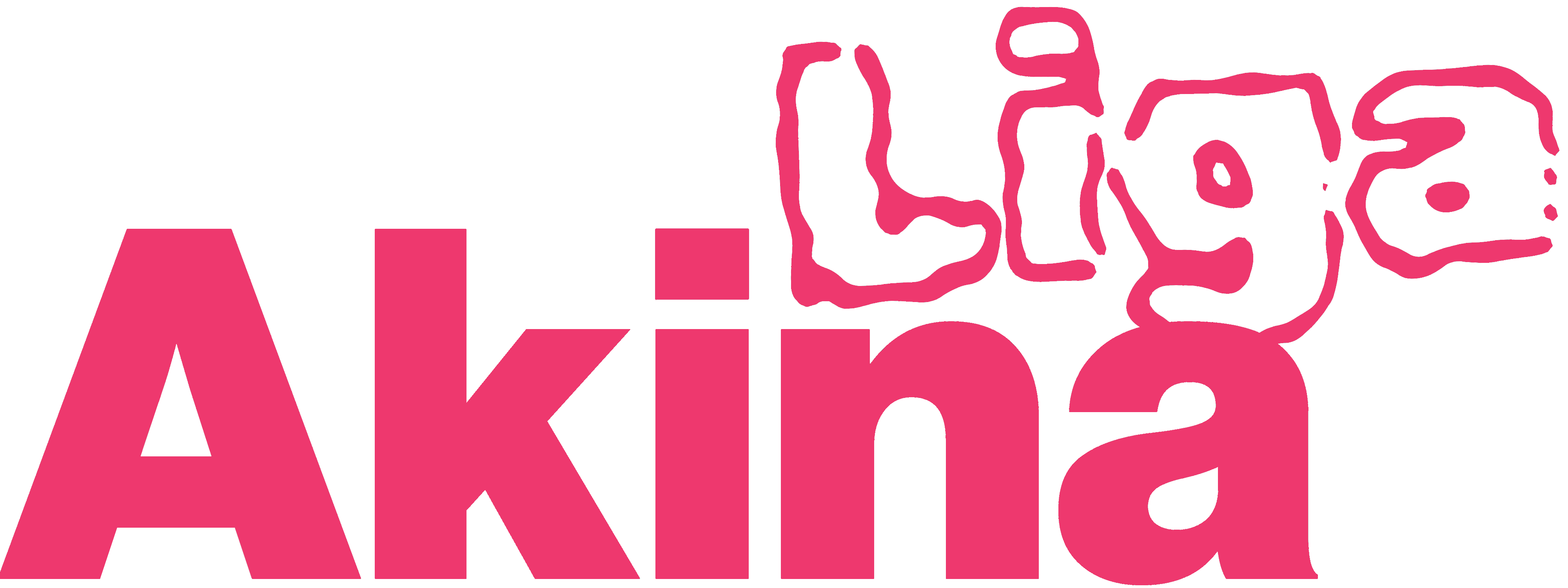 Liga AKINA
